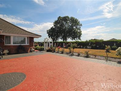 Picture 31